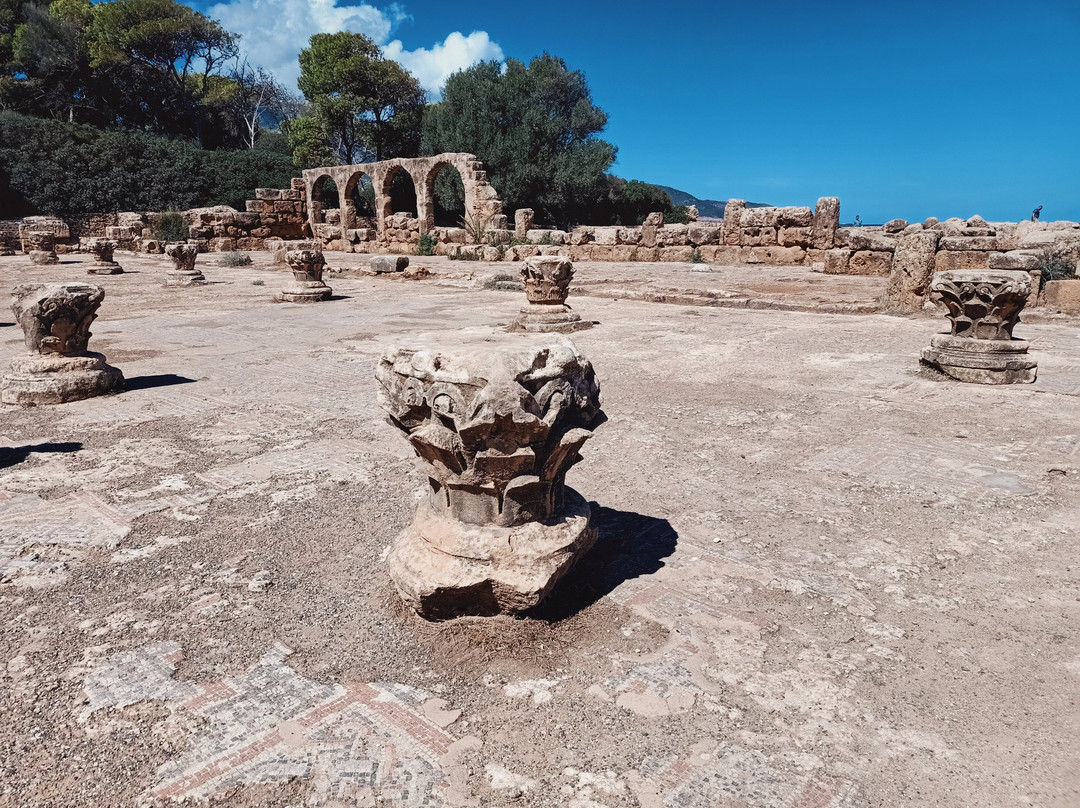 Ruines Romaines Tipaza-蒂帕萨必去景点