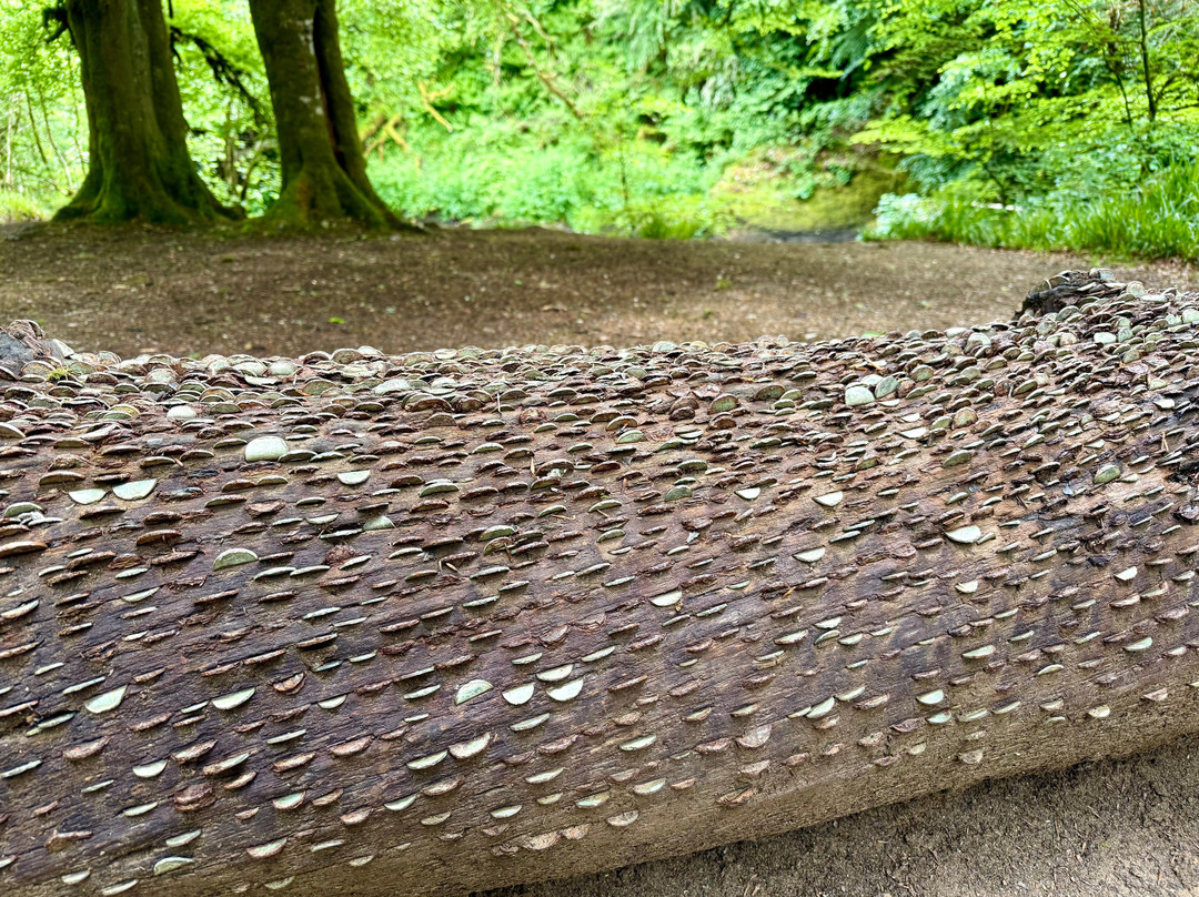 The Tarr Steps Money Tree-Dulverton必去景点