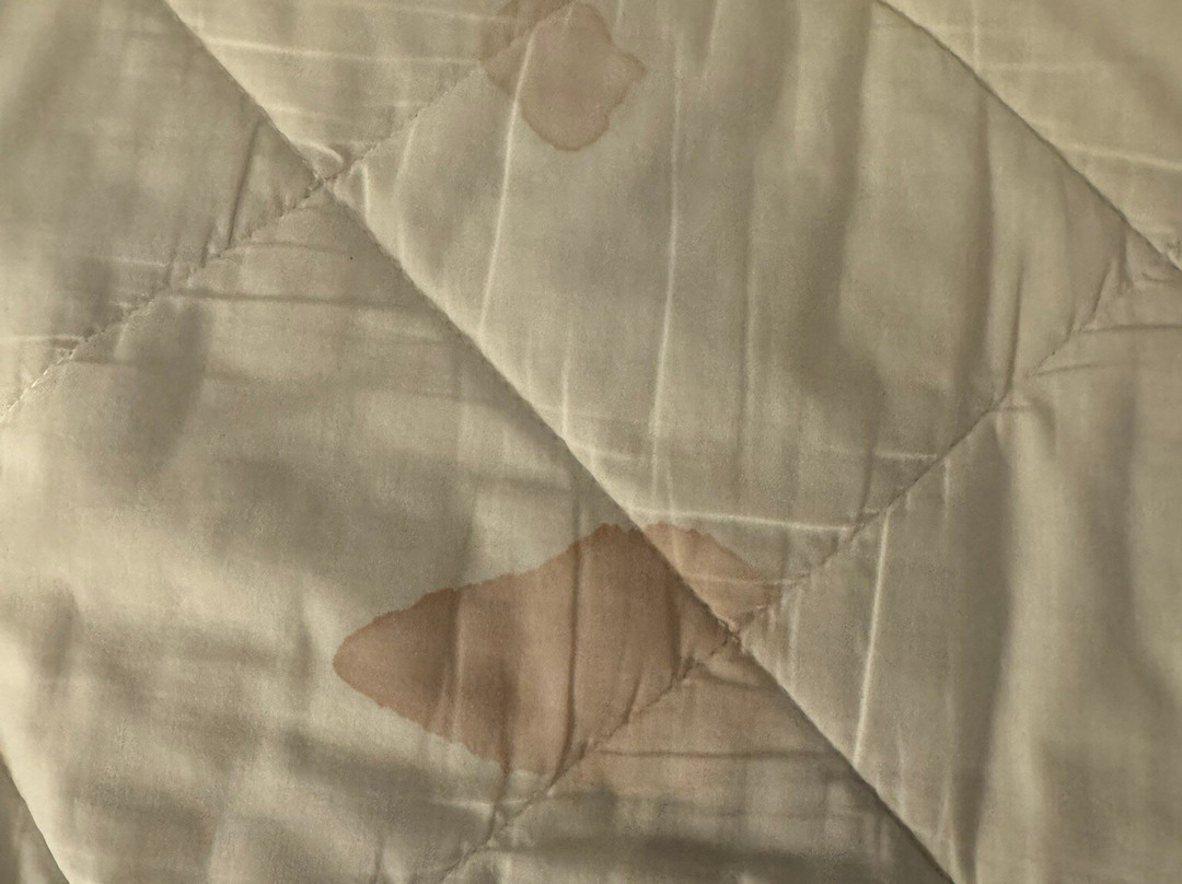 Courtyard Seoul Pangyo主图