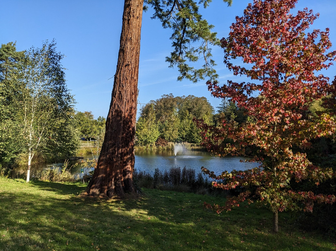The Alnwick Garden-阿尼克必去景点