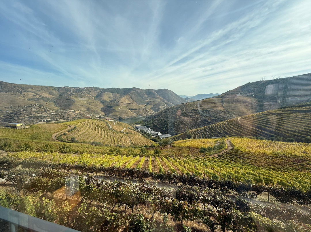 Quinta de Santa Eufémia-Lamego必去景点