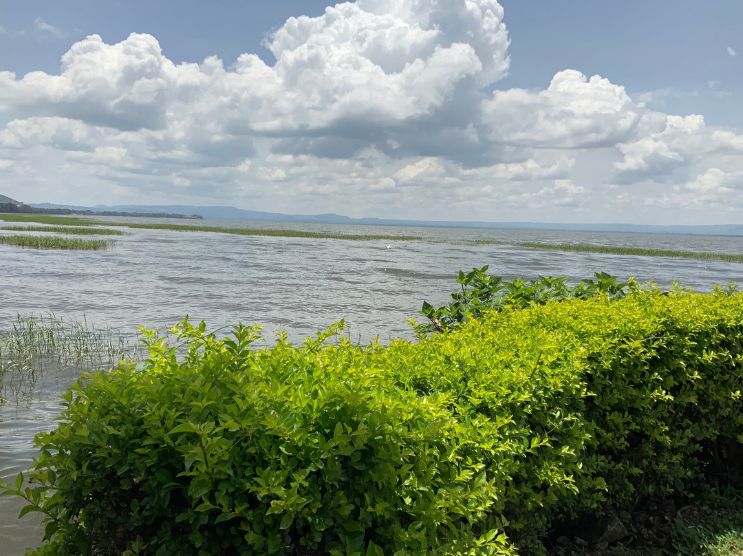 Haile Resort Hawassa主图