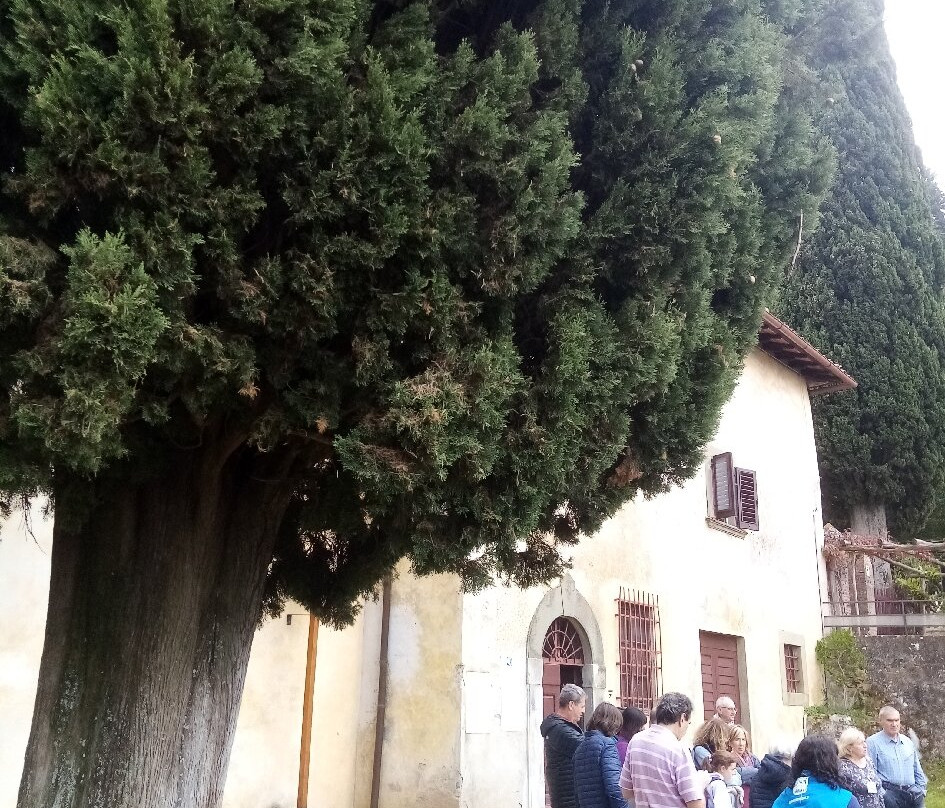 Chiesa di S. Andrea a Barbiana-Vicchio必去景点