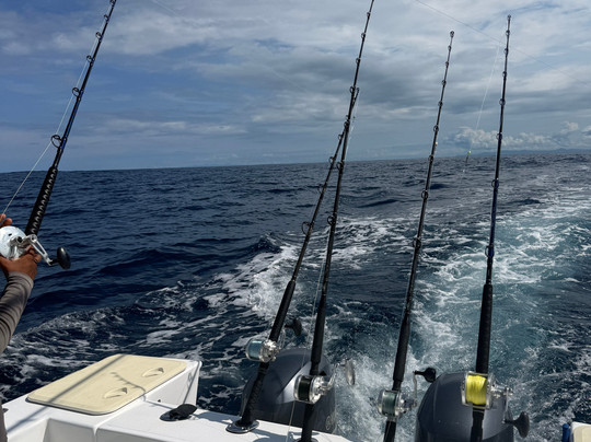 Tamarindo Tours Discovery-塔马林多必去景点