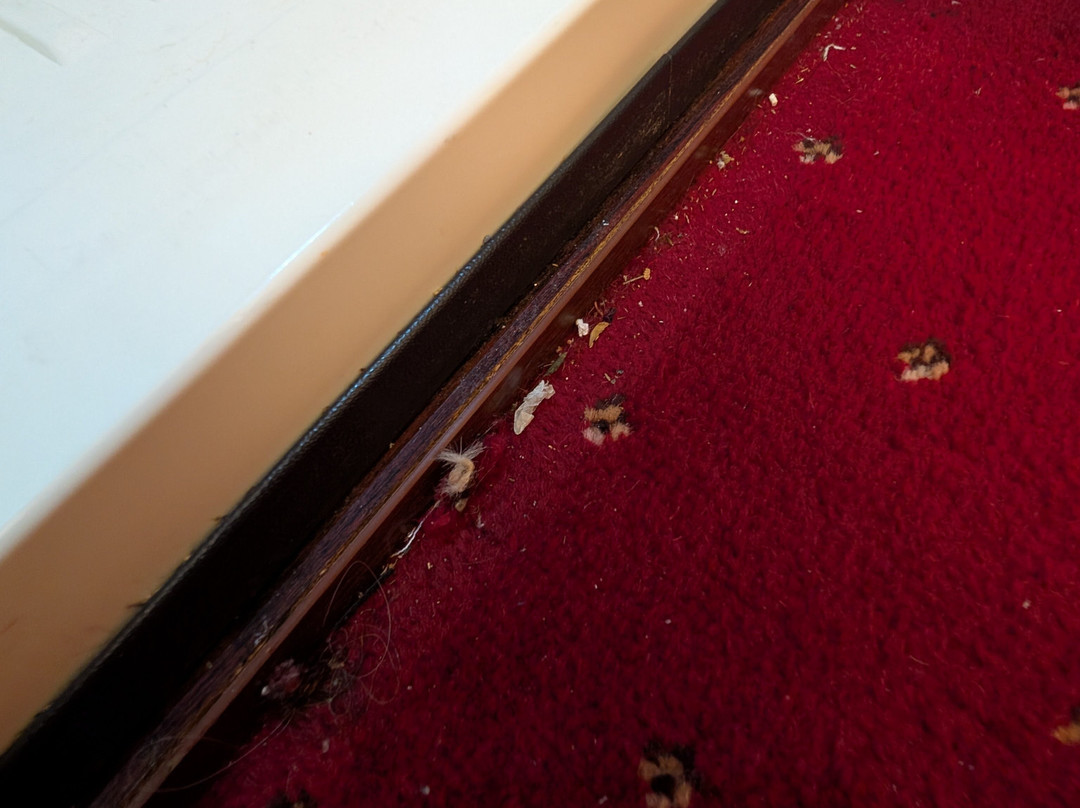 Hotel El Djazair主图