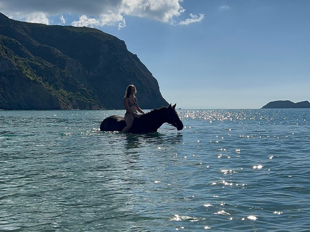 Laganas Horse Riding Center-扎金索斯必去景点