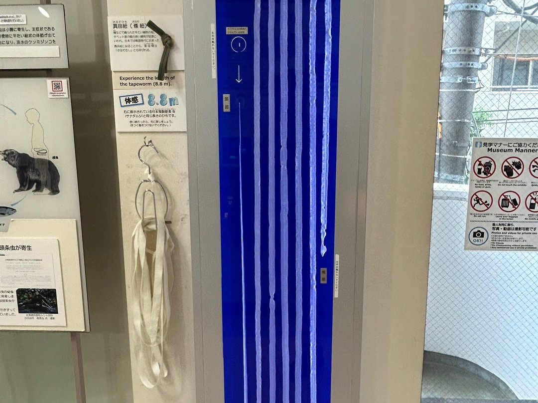 目黑寄生虫馆-目黒区必去景点