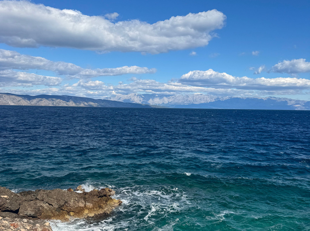 Suncokret Body and Soul Retreat主图