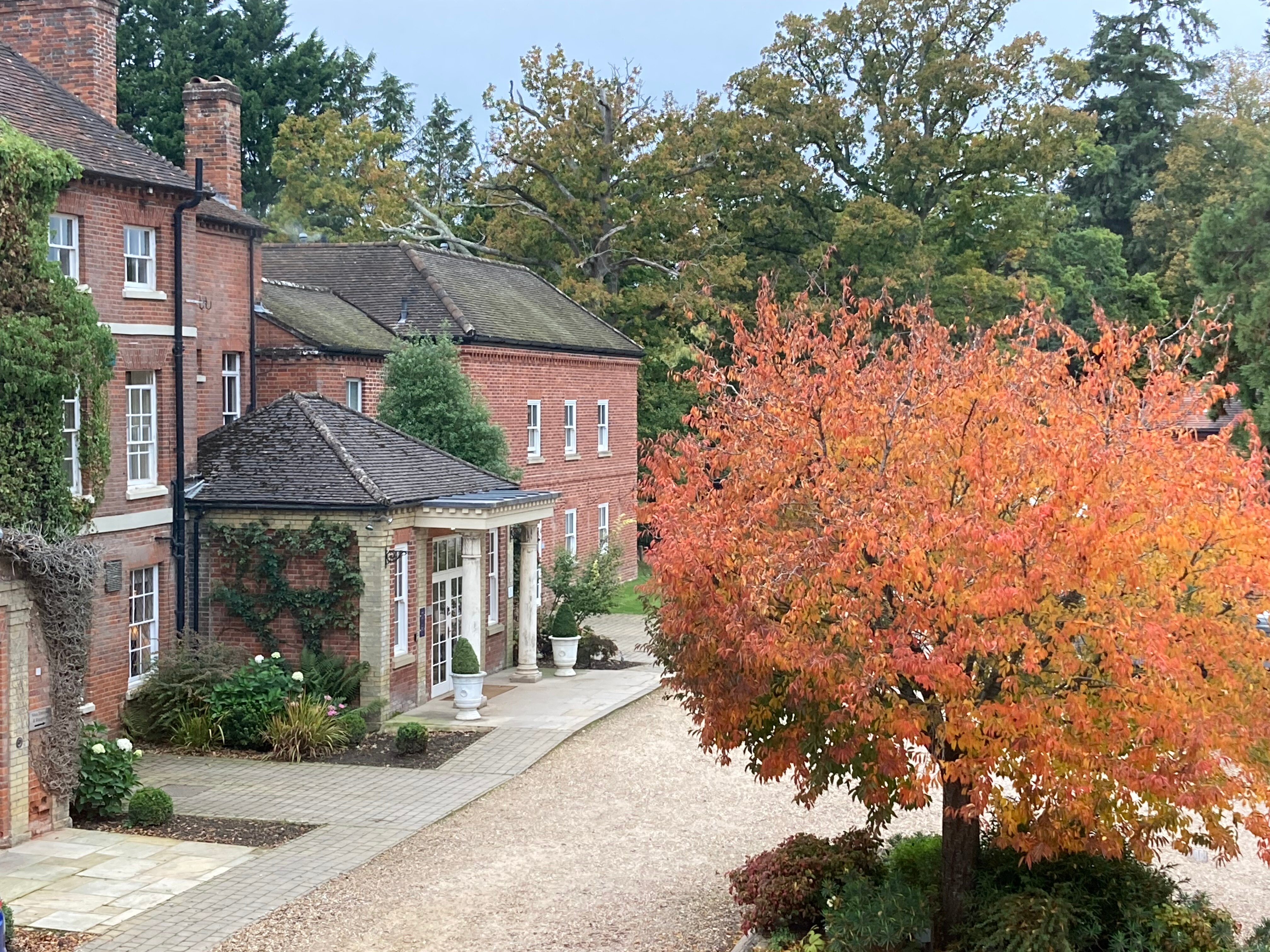 巴特利旅舍酒店-官方