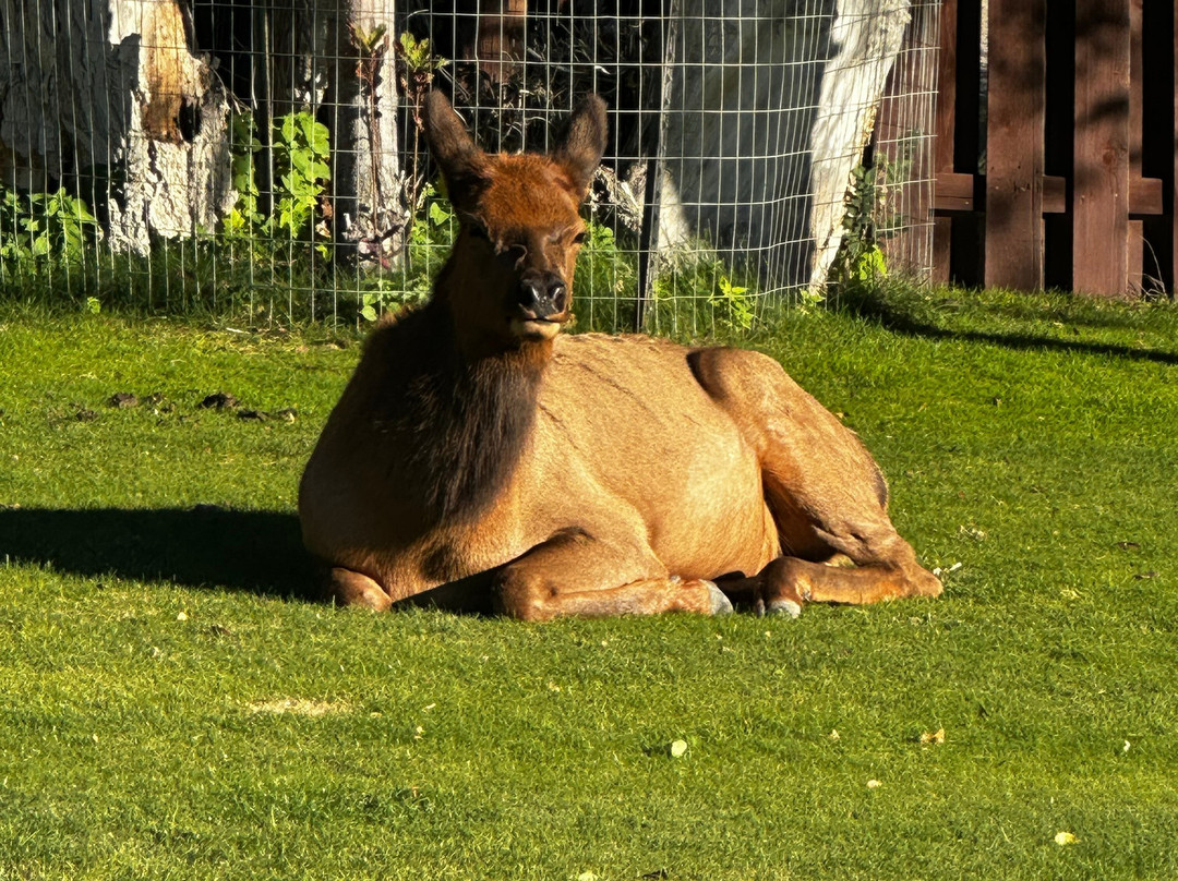 黄石村酒店主图