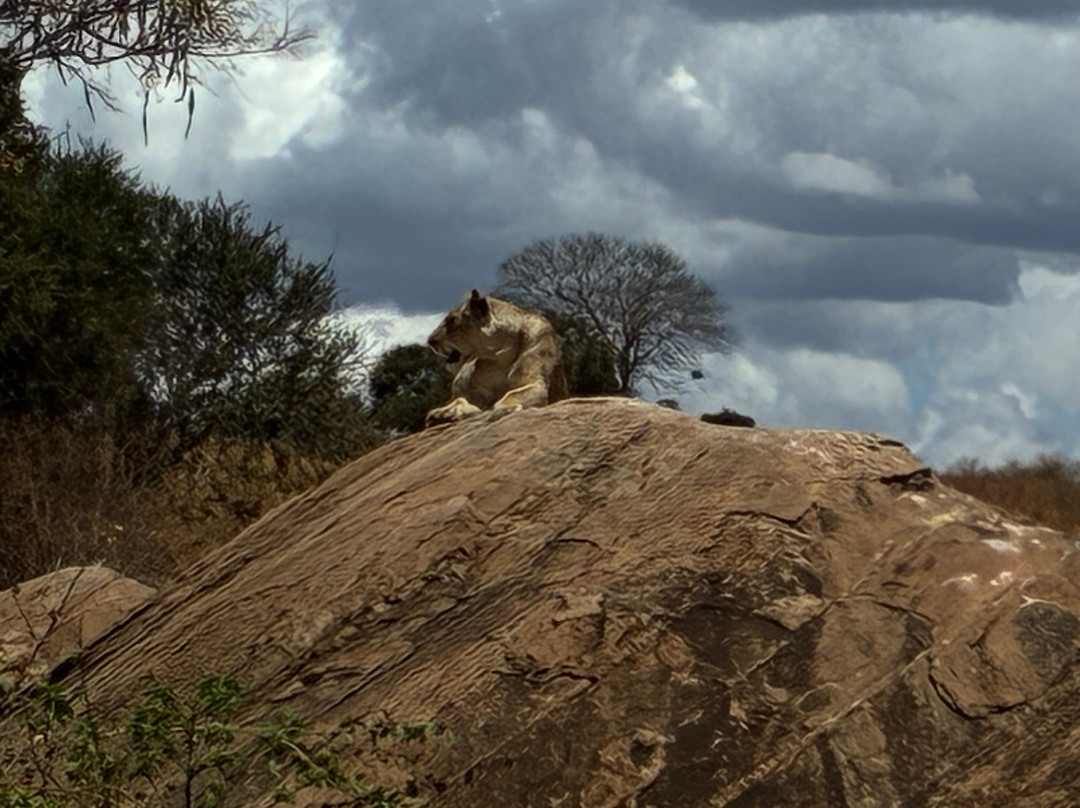 Aqua Paradise Safaris Day Tours-乌库达必去景点