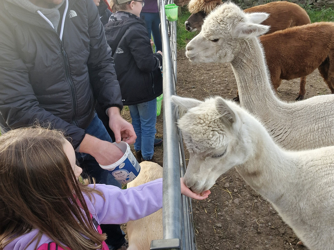 Newton Farm Holidays & Tours主图