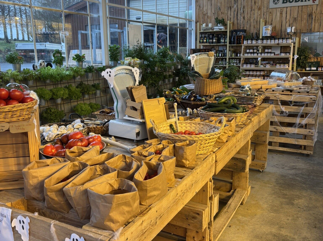 Sólskinsbúðin - Farmers Market-Fludir必去景点