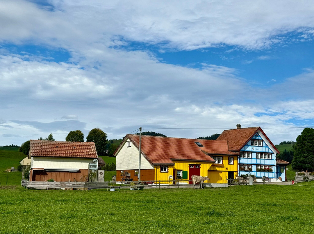 Erwin Tours of Switzerland-苏黎世必去景点