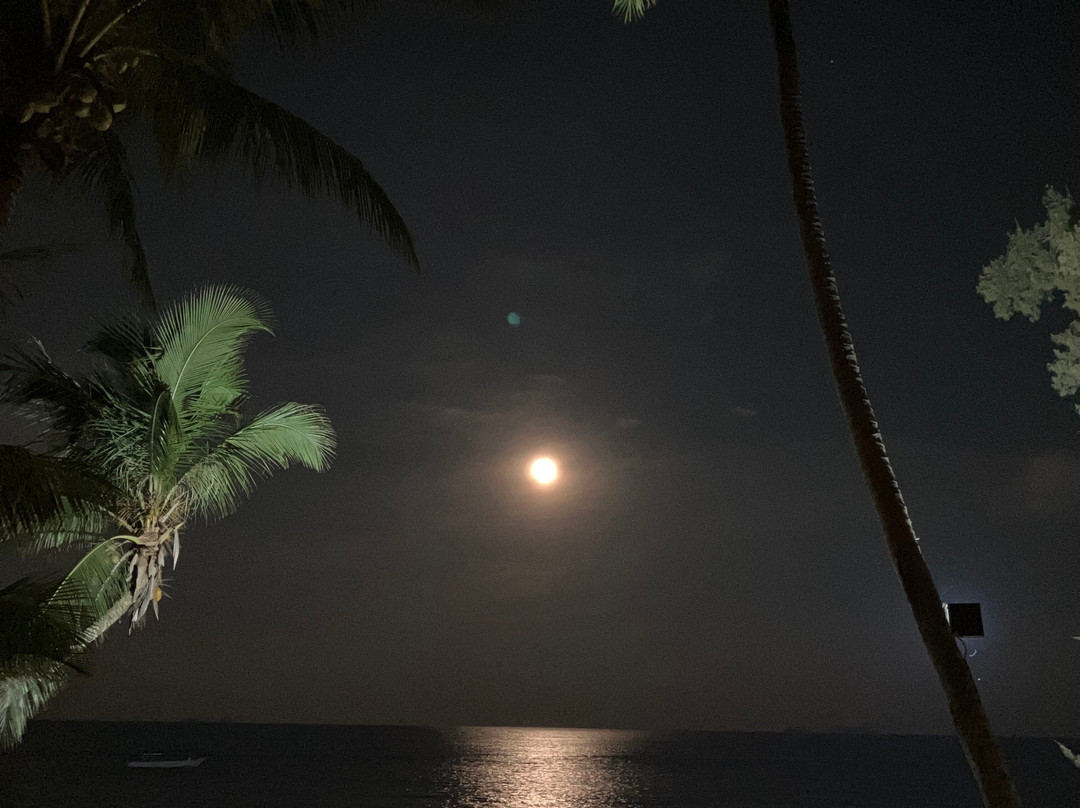 Sea Gypsy Village Resort & Dive Base主图