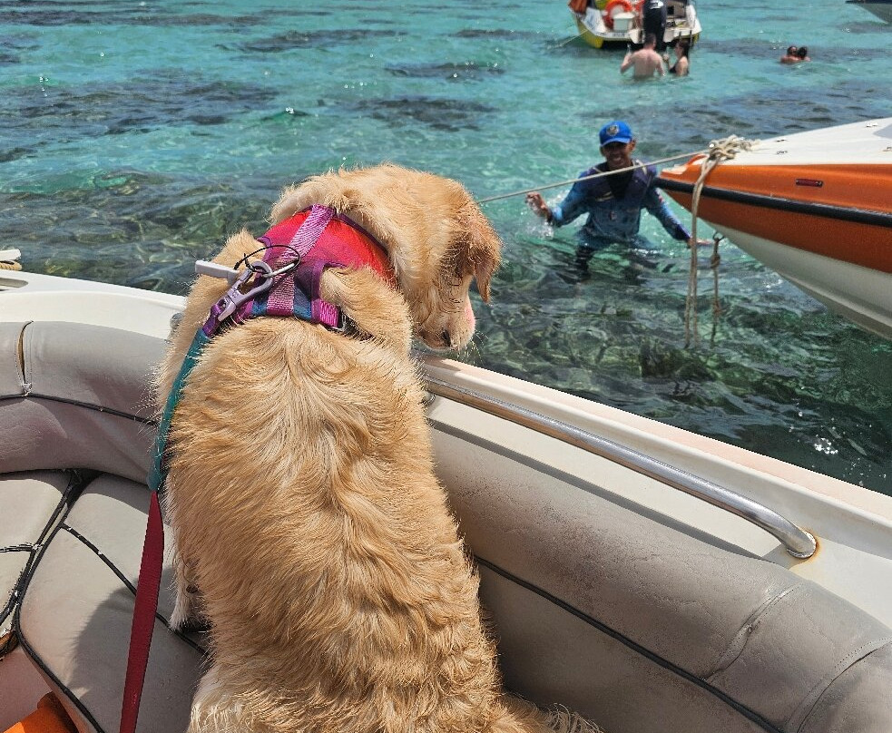 Praia De Rio Do Fogo