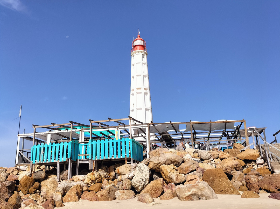 ODYSSEY - Ria Formosa Boat Tours-奥良必去景点