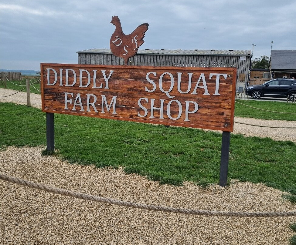 Diddly Squat Farm Shop-奇平诺顿必去景点