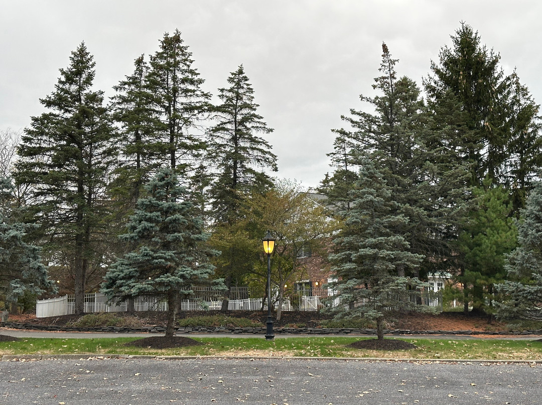 The Century House, Ascend Hotel Collection主图