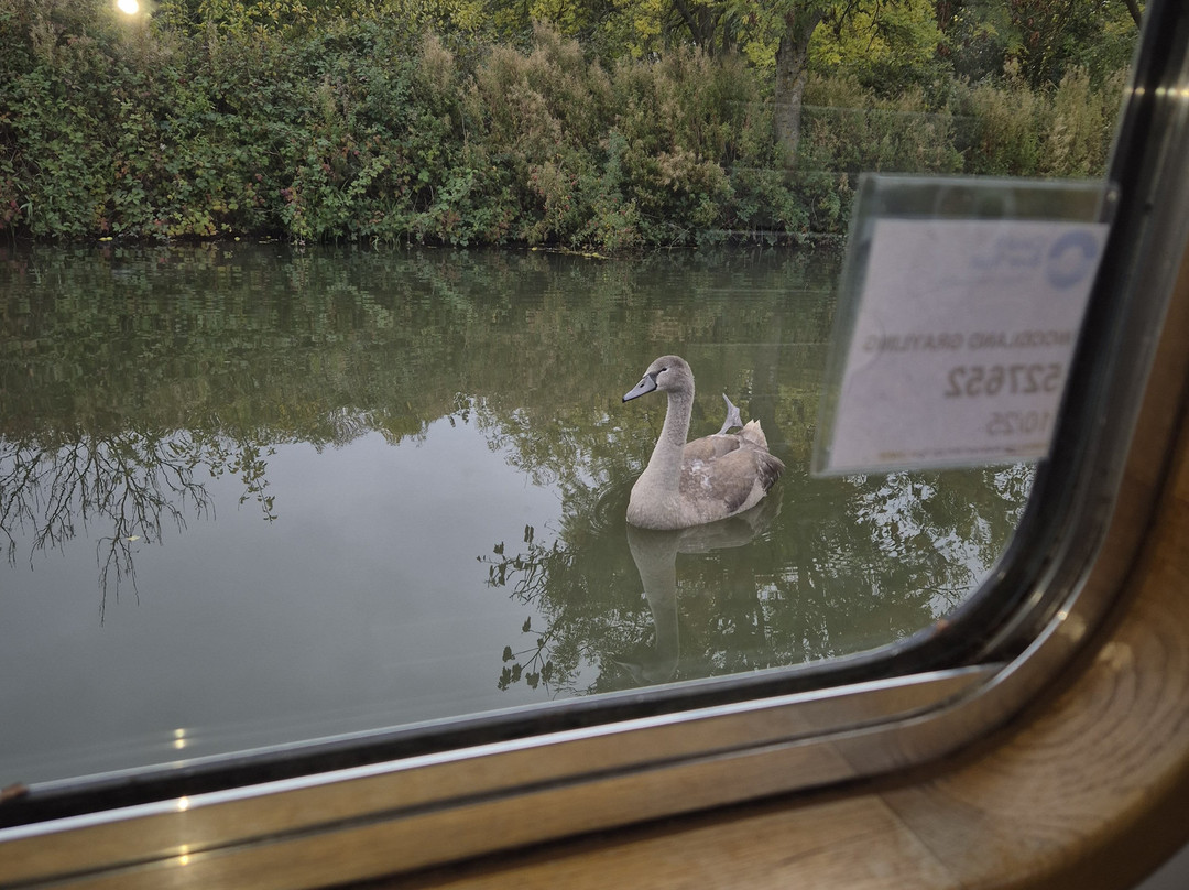 Boutique Narrowboats-马基特哈伯勒必去景点