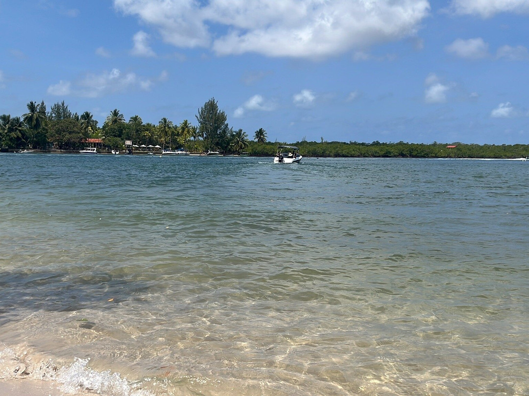 Passeios Barra Grande Bahia | Agencia de Passeios-Marau必去景点