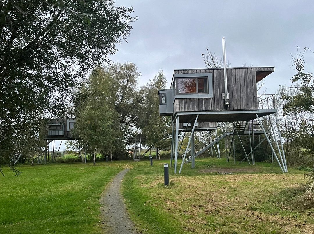 Elbinselbaumhaus Krautsand