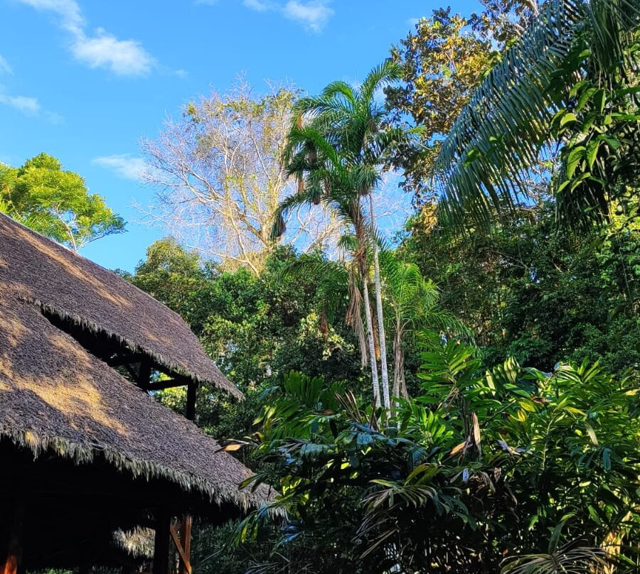 Refugio Amazonas Lodge主图