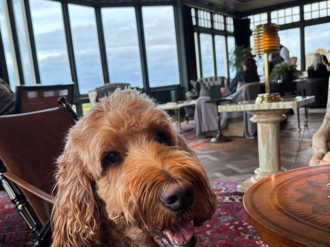 麦克唐纳德航海酒店&SPA主图