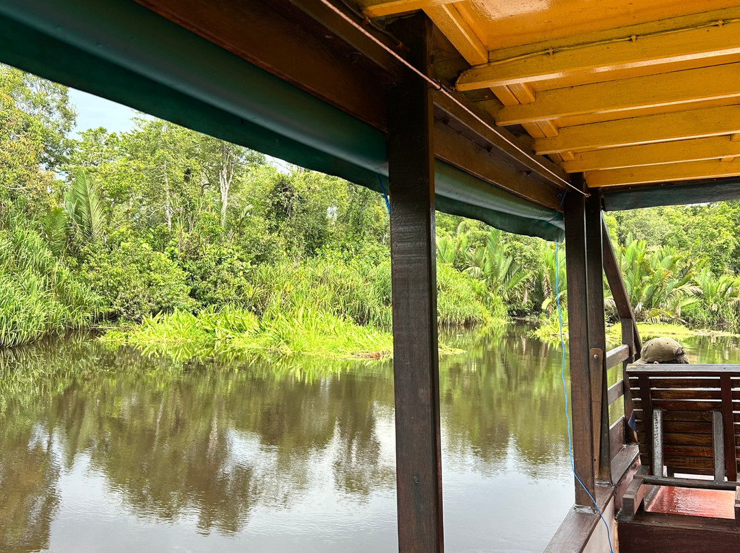 Dolphindo Tour Orangutan Tanjung Puting-Kumai必去景点