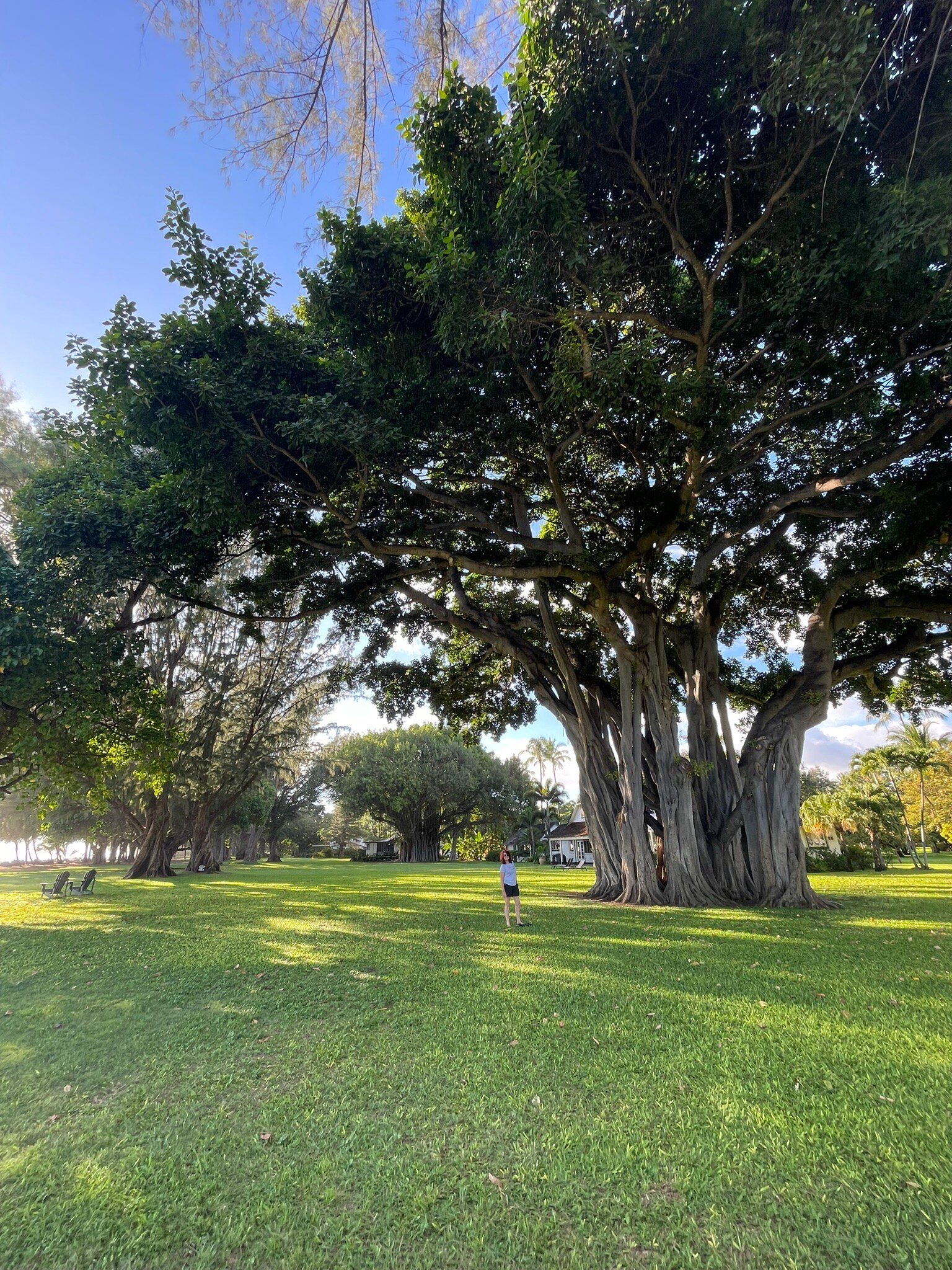 Waimea Plantation Cottages-官方