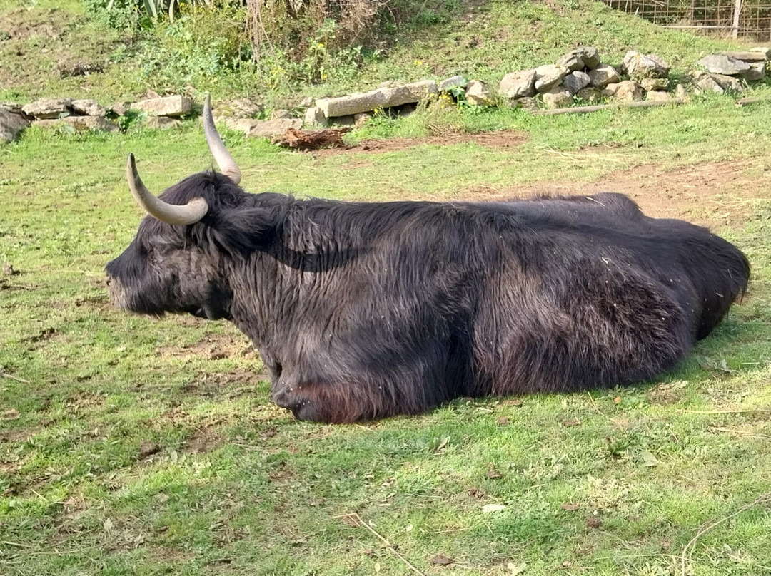 La Ferme Extraordinaire-Donges必去景点