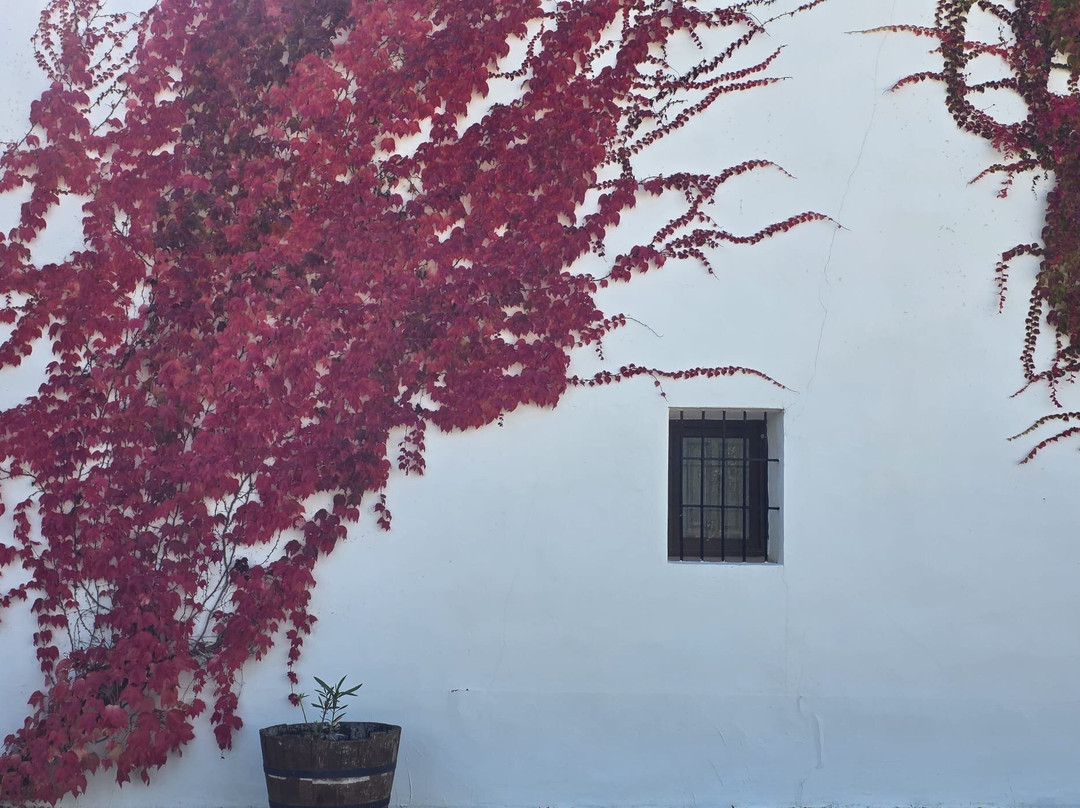 Hoya De Cadenas Estate-Utiel必去景点