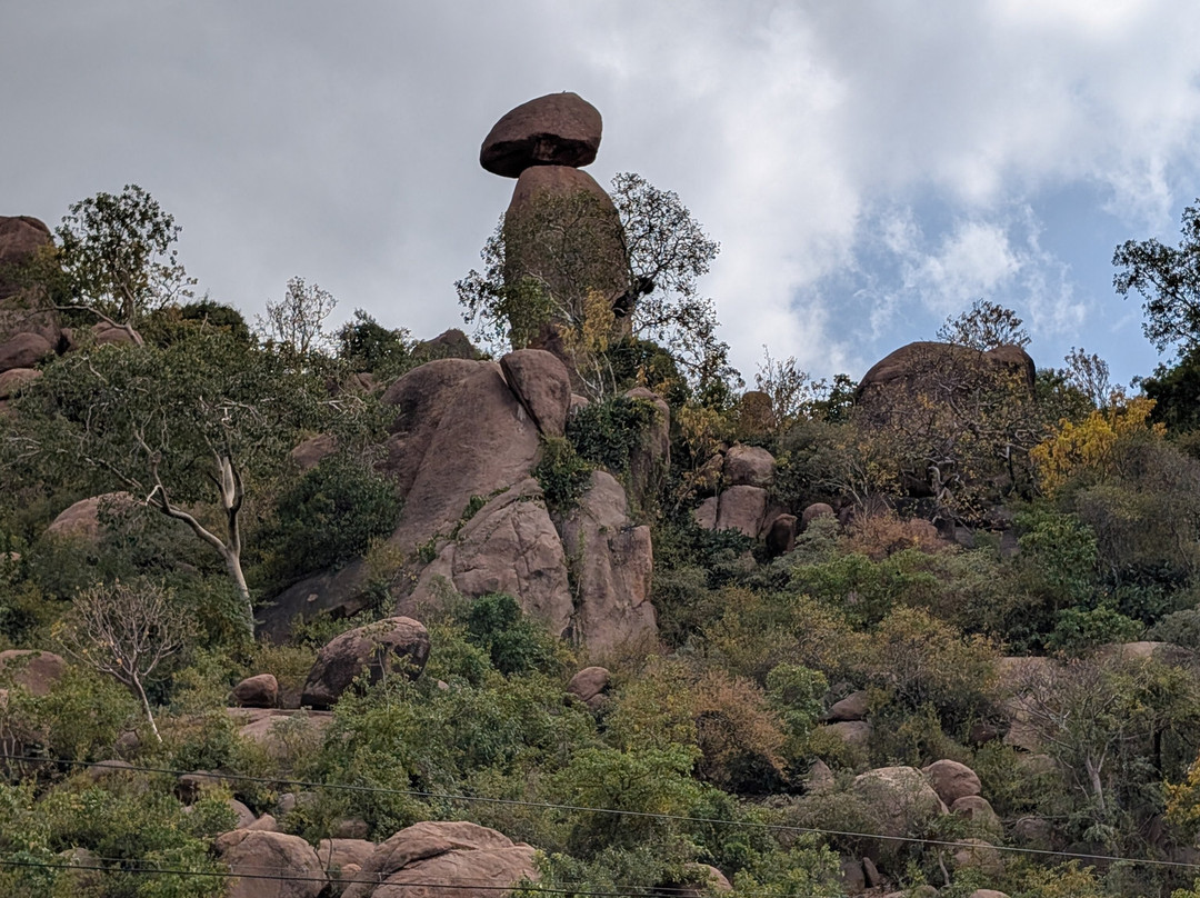 Joel Harar Tours-哈勒尔必去景点