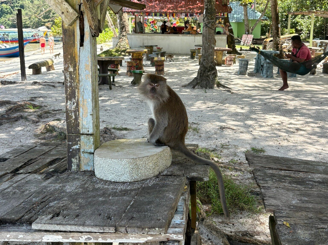 猴子岛-巴巷海滩必去景点