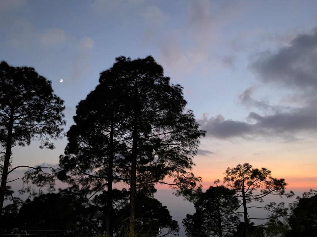 Lemon Tree Hotel Mcleodganj主图