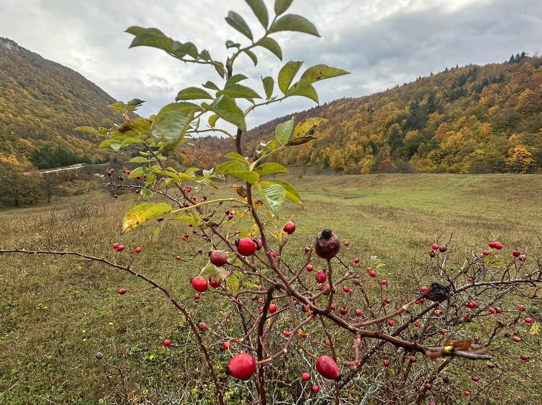 Khvamli Mountain-Tsqaltubo必去景点