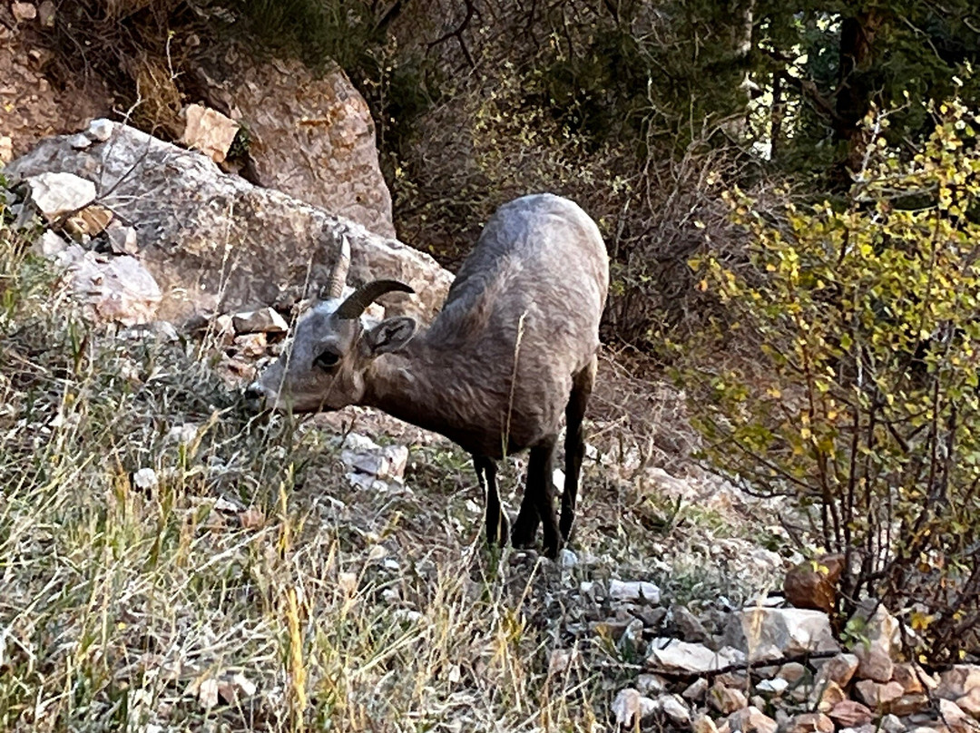 玛斯威克旅馆主图