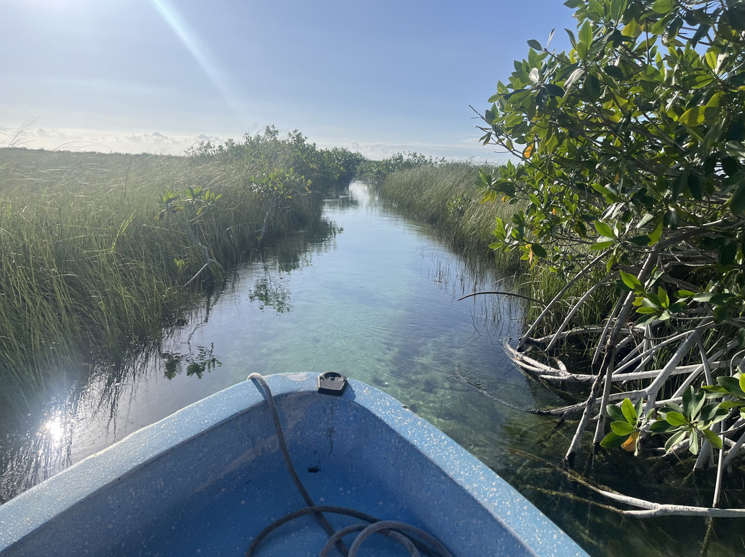 Zona Arqueológica de Muyil-Chunyaxche必去景点
