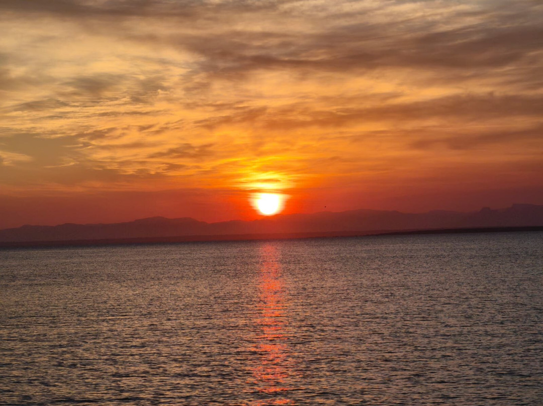 Nomadic Sails-Wasini Island必去景点