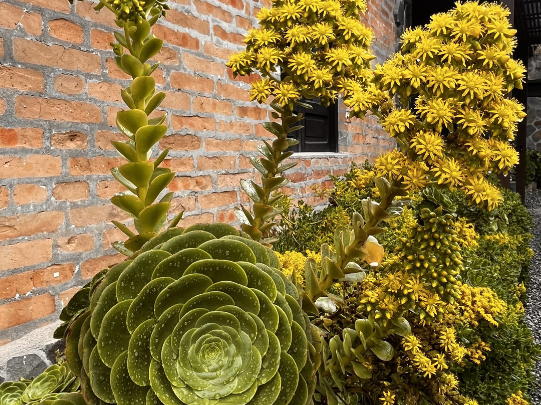 Laguna Negra Parque Reserva Natural-Manizales必去景点