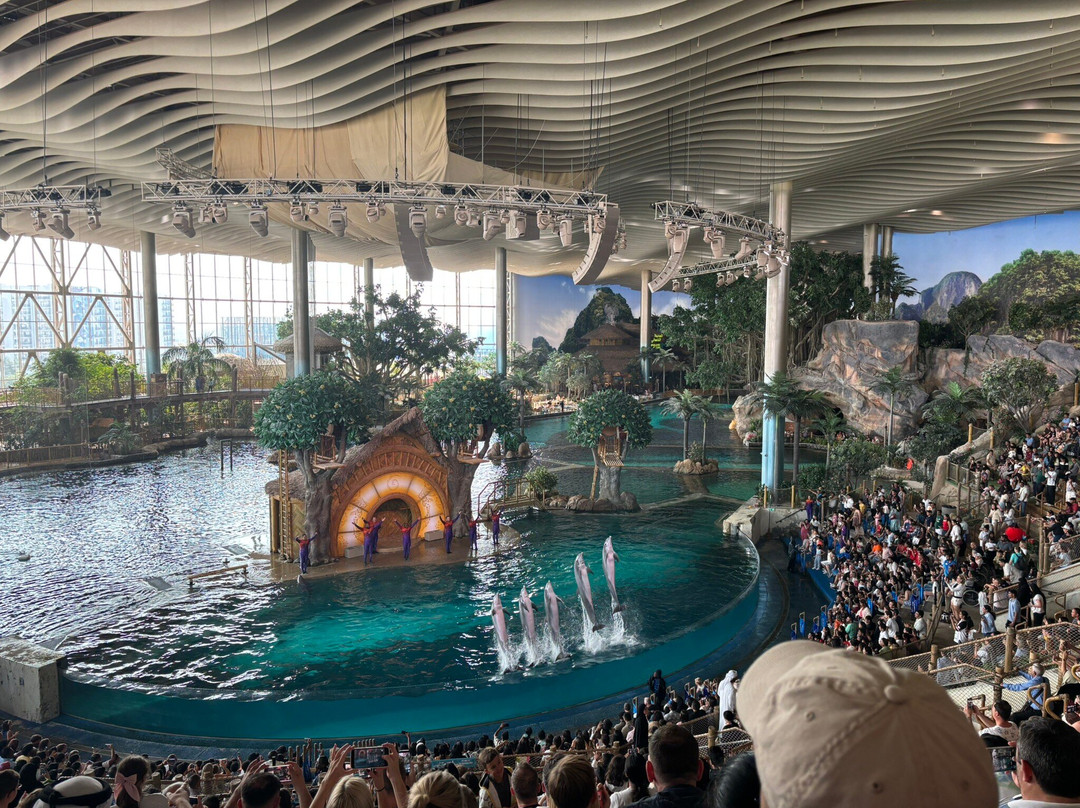 SeaWorld Yas Island Abu Dhabi-阿布扎比必去景点