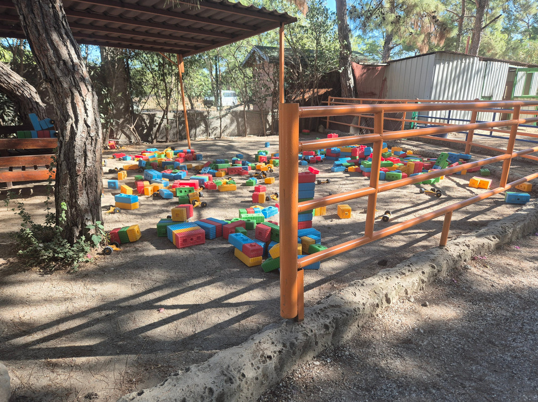 Dinopark-Goynuk必去景点