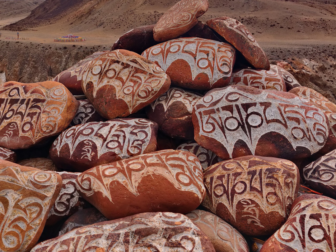 藏路旅游-拉萨市必去景点