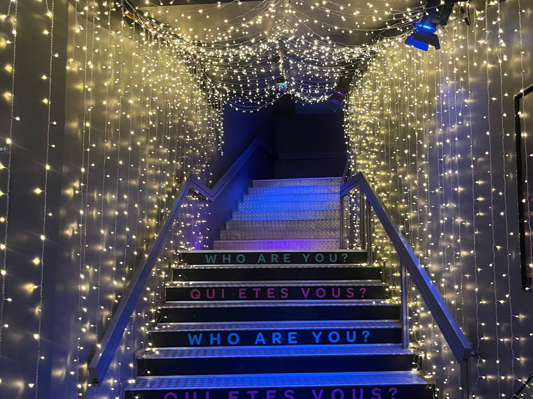 Moir - The Museum Of Infinite Realities-布鲁塞尔必去景点