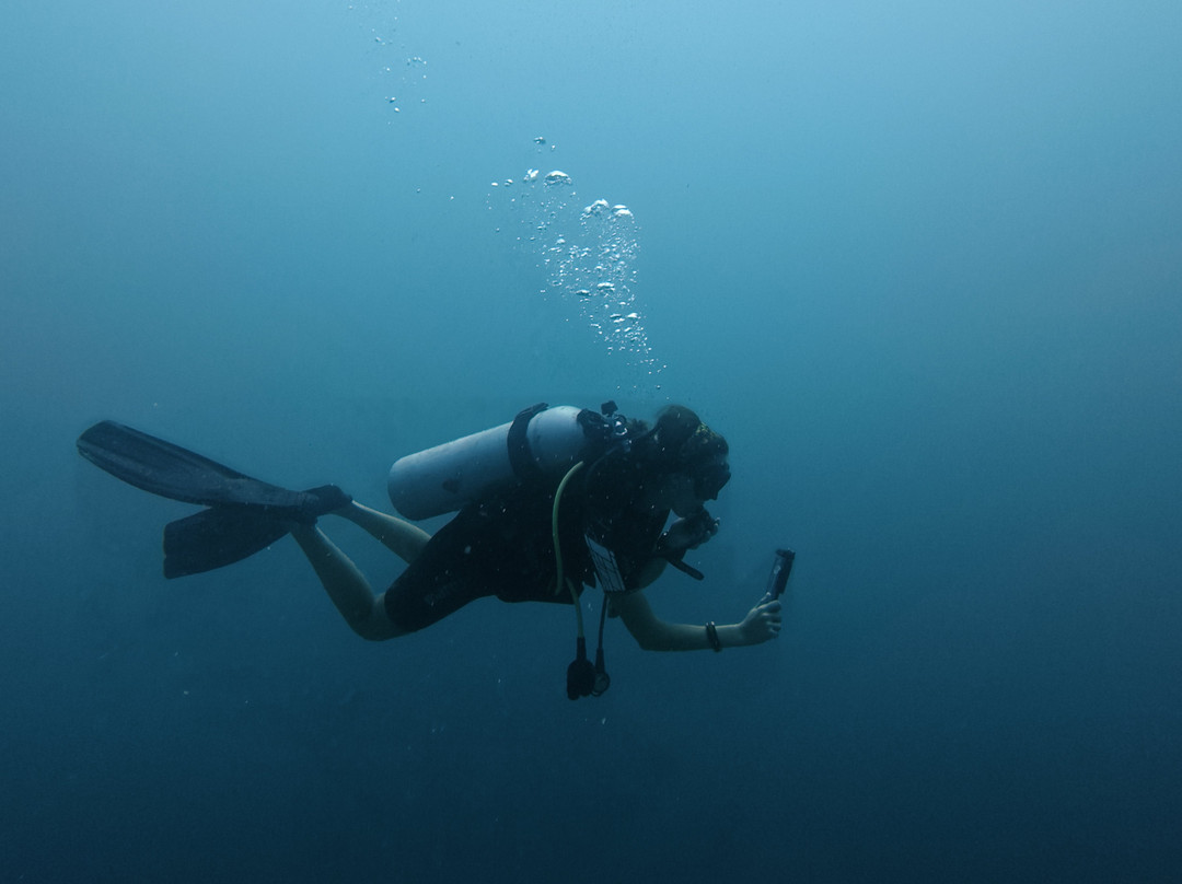 Amphibuzz Dive-Thulusdhoo Island必去景点