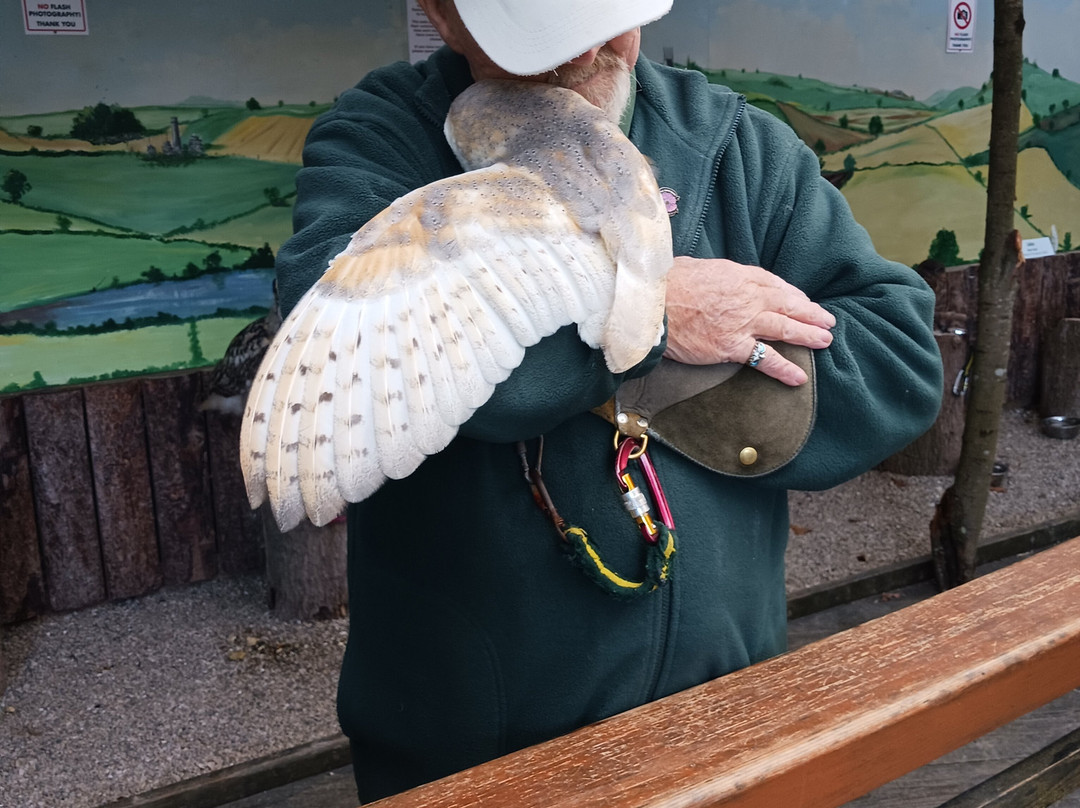 Totnes Rare Breeds Farm-托特尼斯必去景点