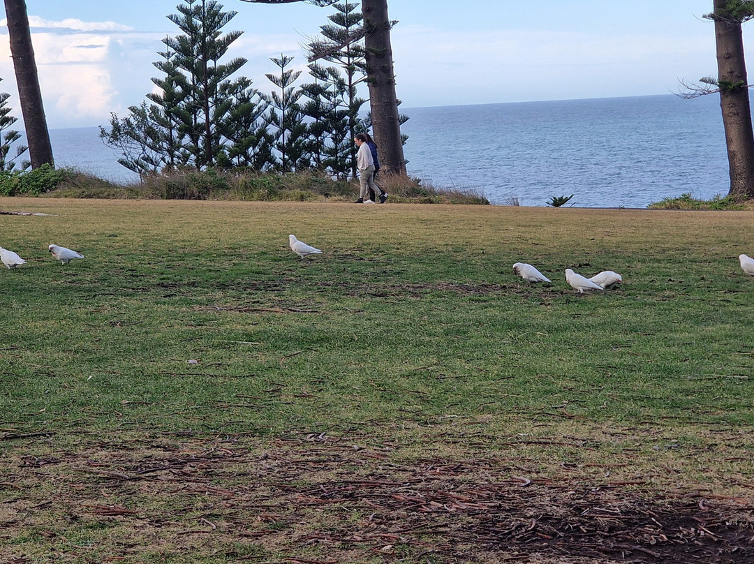 Kiama Lighthouse-凯马必去景点
