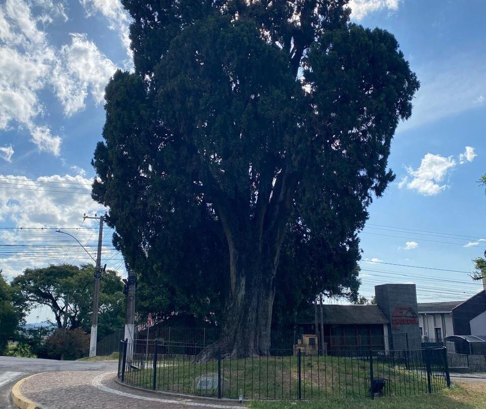 Cipestre Farroupilha-Guaiba必去景点