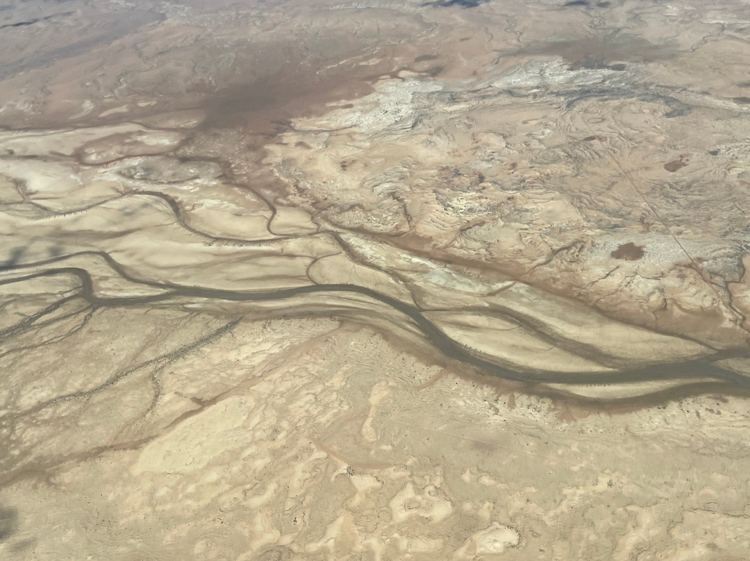 Gekko Safari - Outback Tours-Belair必去景点