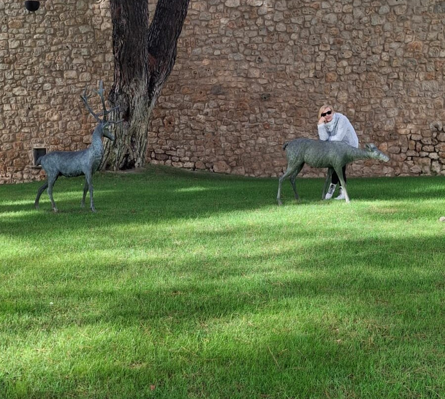 Hotel & Spa Arzuaga主图